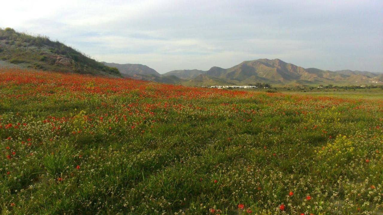 La Belleza De Rodalquilar